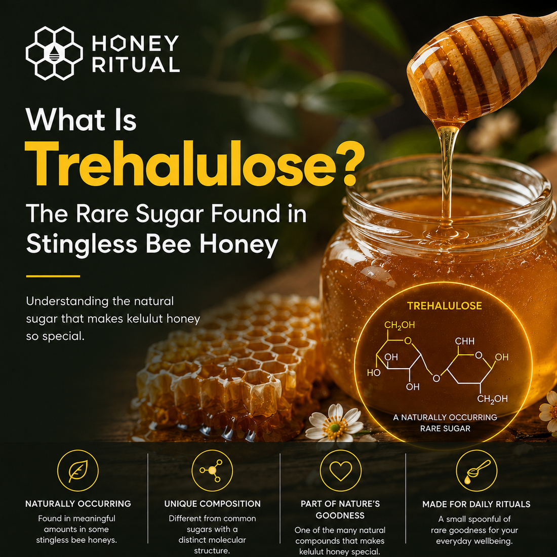 What Is Trehalulose? The Rare Sugar Found in Stingless Bee Honey